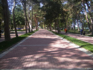 21. Behaton/betonske ploce Sumarice-Kragujevac